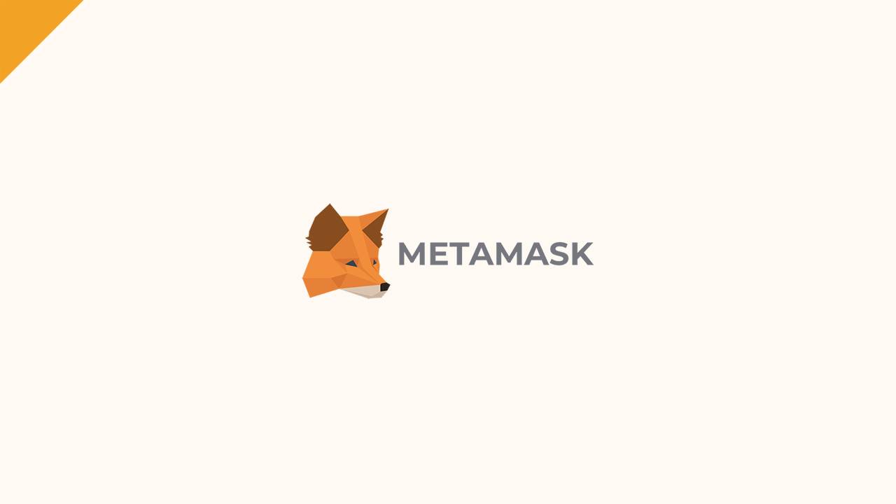 metamask inwestorzy instytucjonalni