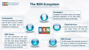 projekt BSN