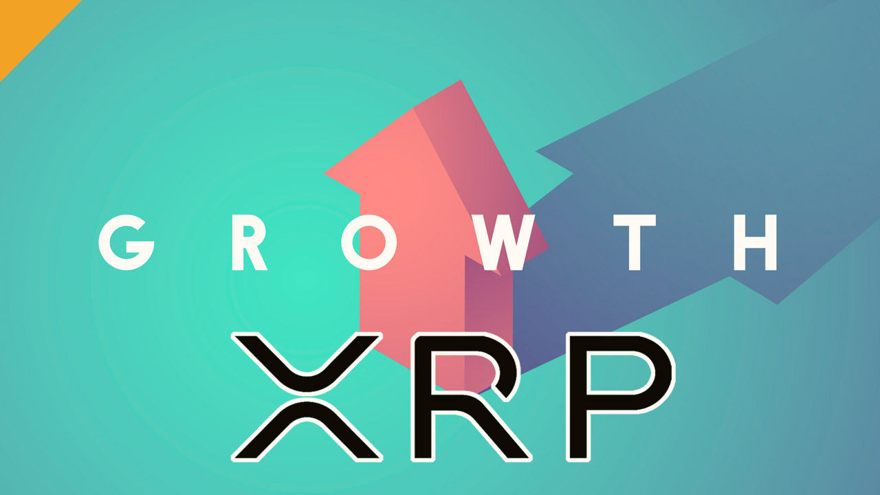 skok xrp