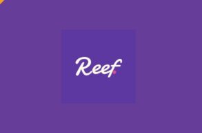 reef finance