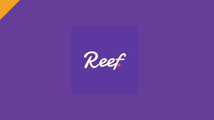 reef finance