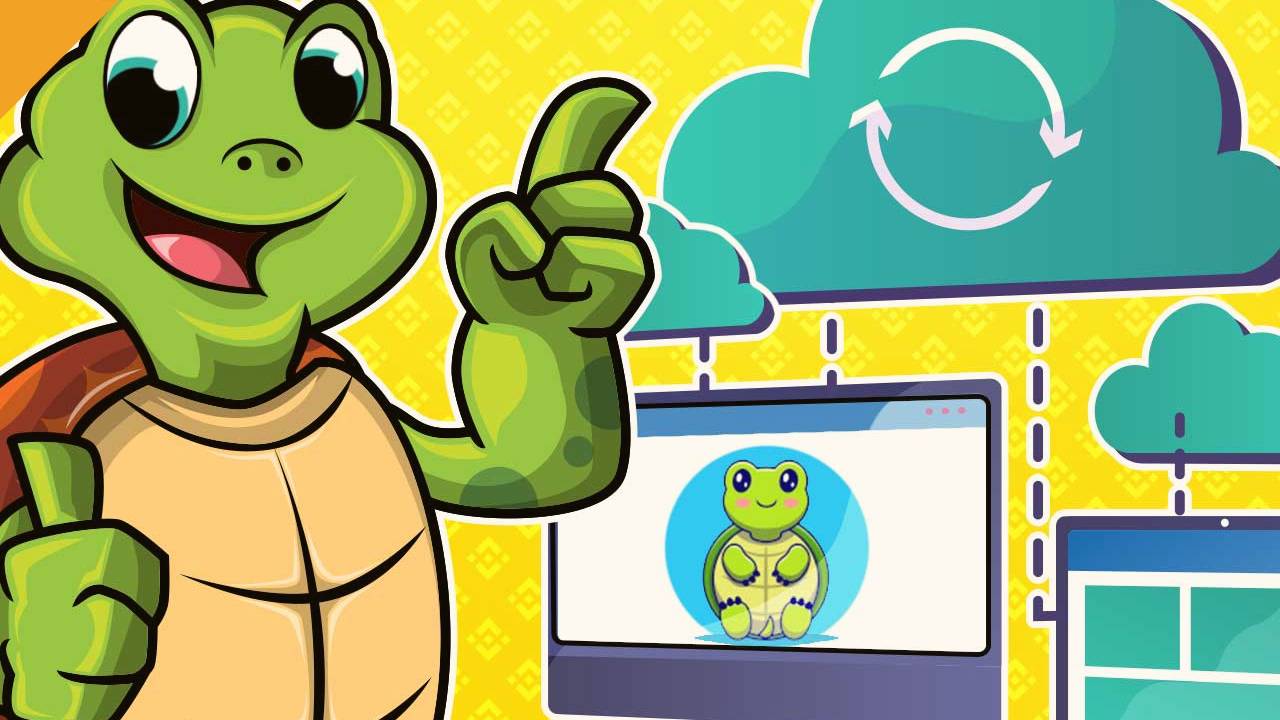 turtledex