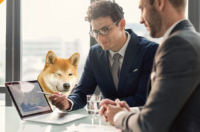 Dyrektor w Goldman Sachs rezygnuje z pracy po zarobieniu fortuny dzięki DOGE