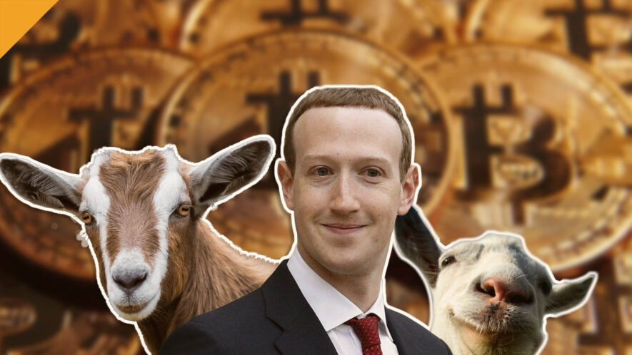 Twitter zastanawia się, dlaczego Zuckerberg nazwał kozy Max i Bitcoin