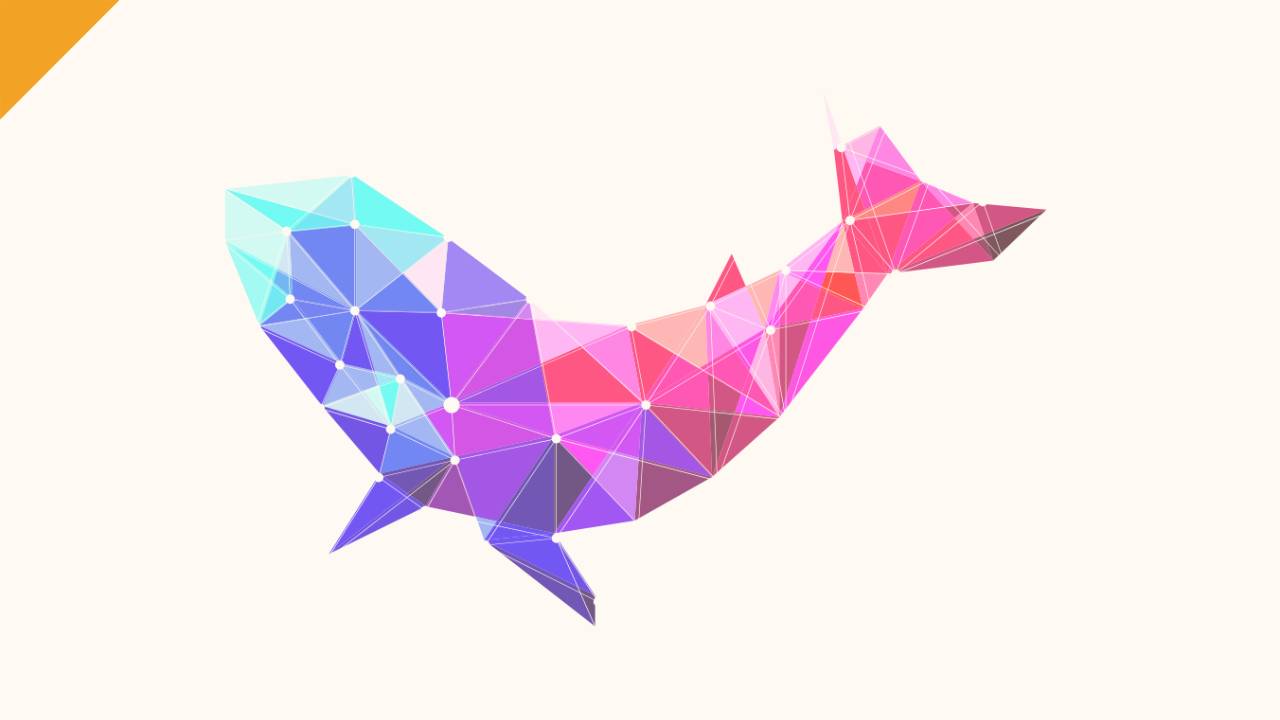 polywhale