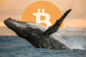 Wieloryby BTC gromadzą bitcoiny