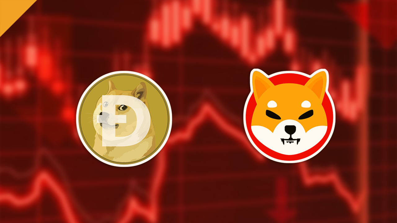 Szef Cardano uważa, że SHIB i DOGE mogą wywołać kryzys i hiperinflację