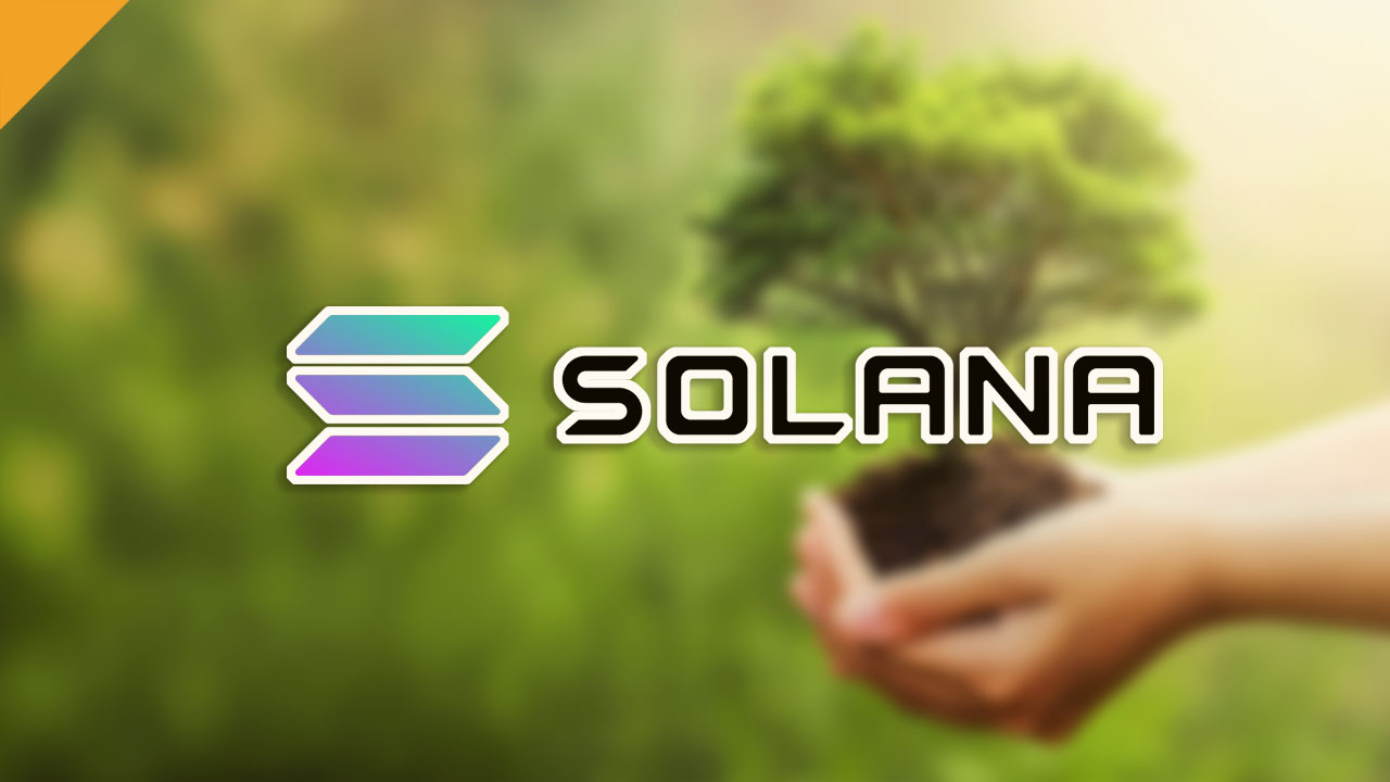 Solana [SOL] | Kurs - Cena, Wykres, Przelicznik, Kupno | CrypS.