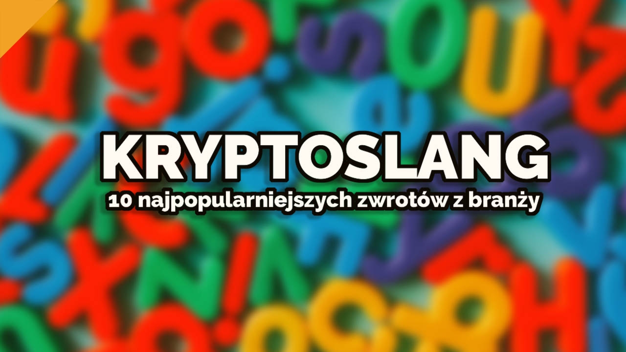 Kryptoslang czyli 10 najpopularniejszych zwrotów z branży