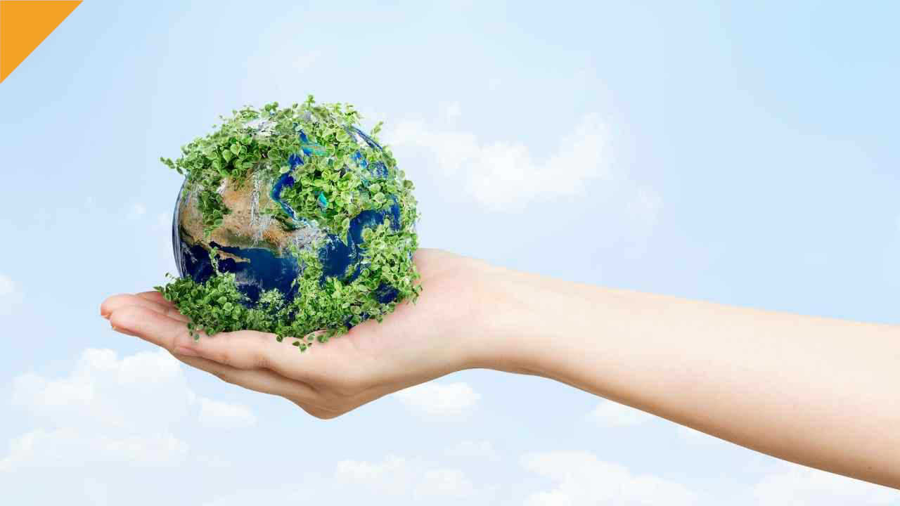 zielona planeta