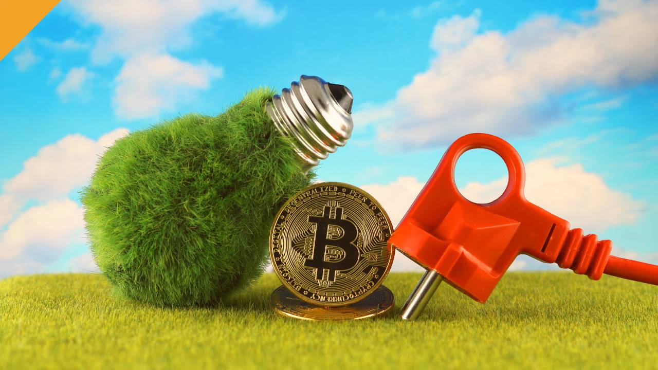 bitcoin środowisko