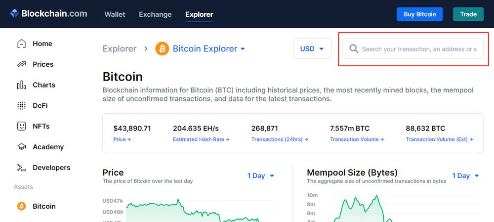 jak sprawdzić czy mam bitcoin w blockchain explorer