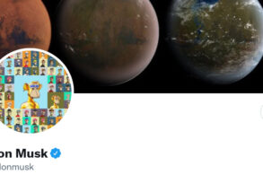 Elon Musk troluje BAYC cena ApeCoin rośnie i spada