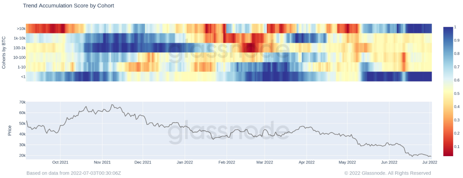 Trend Accumulation Score - Glassnode
