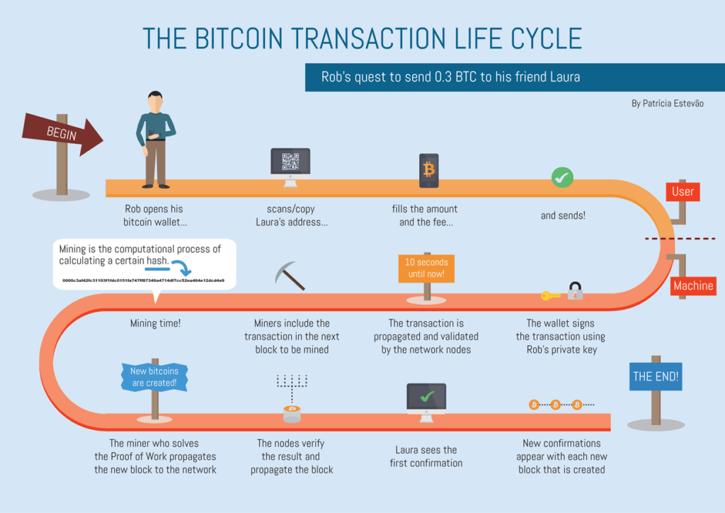 Jak działa cykl transakcji w sieci Bitcoin?