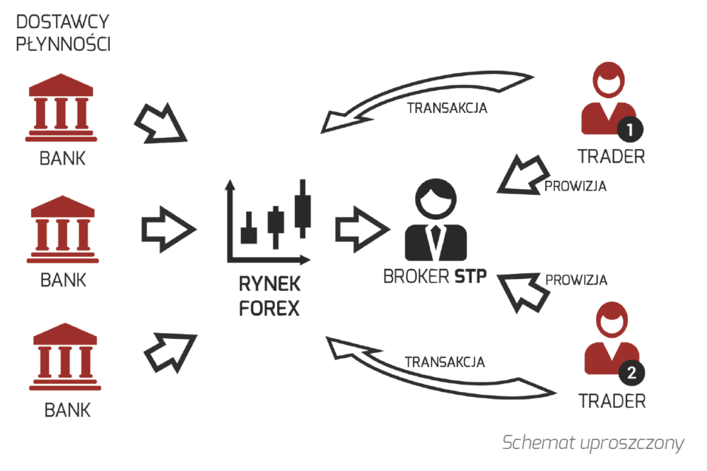 Jak działa broker typu STP. Źródło: Forexclub.pl.