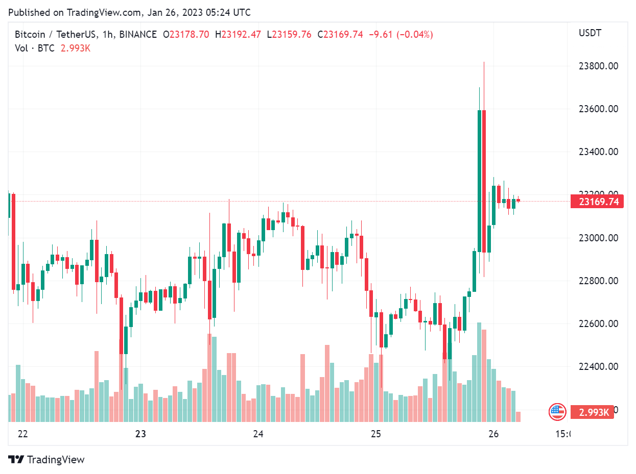 kurs btc