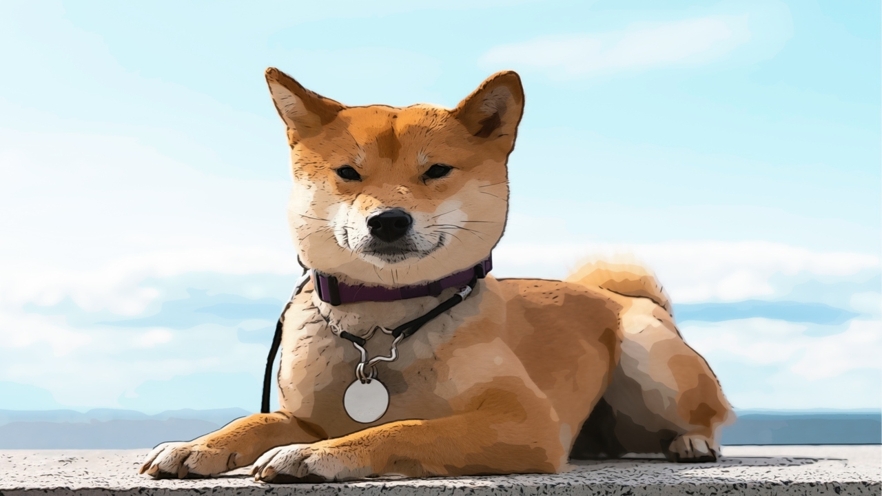 Shibarium Shiba Inu