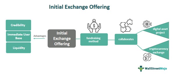 Initial Exchange Offering