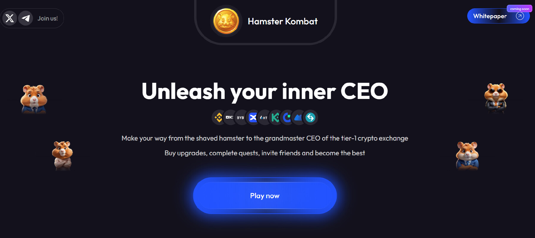 hamster kombat premarket