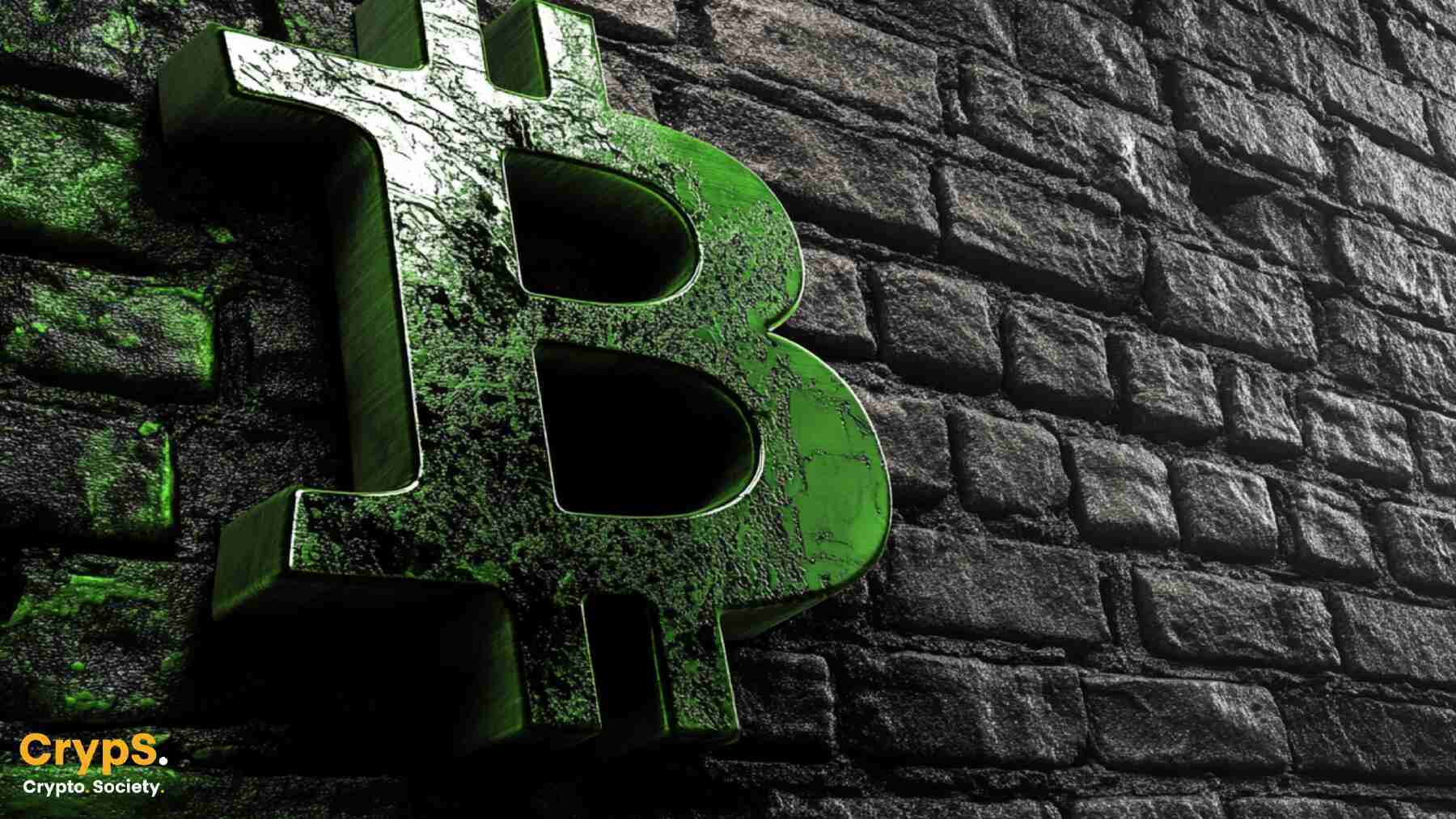 Rewolucja w płatnościach online: LV BET jako pierwszy bukmacher w Polsce  wprowadza wpłaty kryptowalutami! | Wiadomości | CrypS.