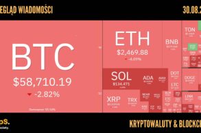 Kursy kryptowalut 30.08.2024