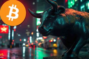 Bitcoin Bull