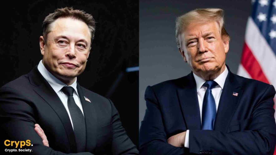 Donald Trump Elon Musk