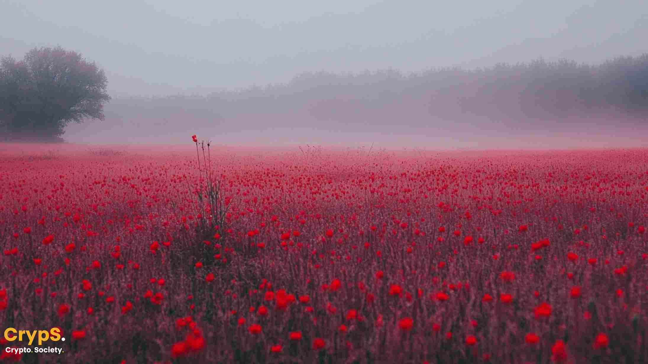 Polska