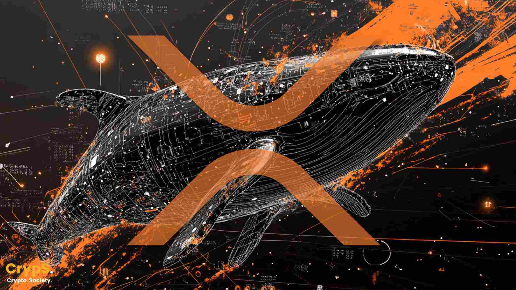 Wieloryby znów skupują XRP, a kurs kryptowaluty zmniejsza dystans od  swojego ATH | Wiadomości | CrypS.
