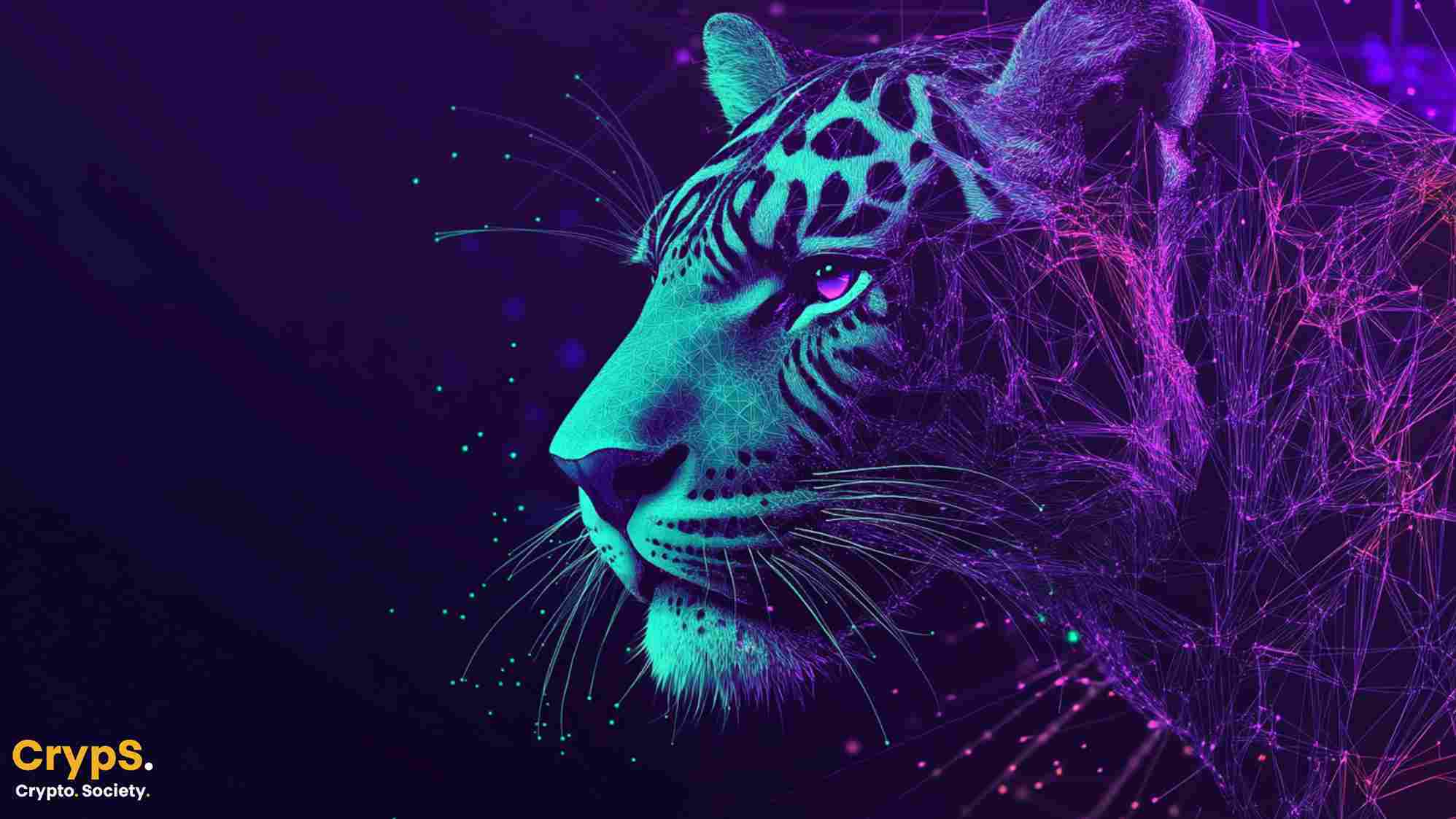 Masowy napływ środków do Solany. Raydium odpala nową platformę