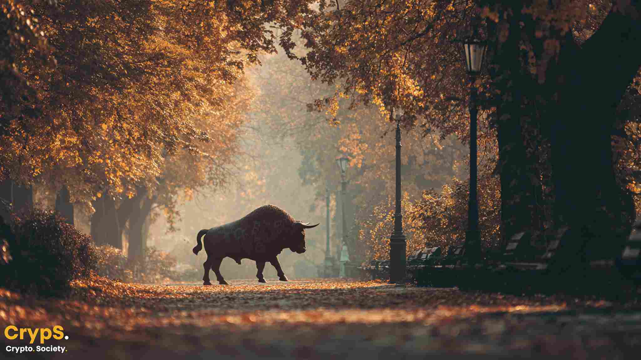 bitcoin bull jesień