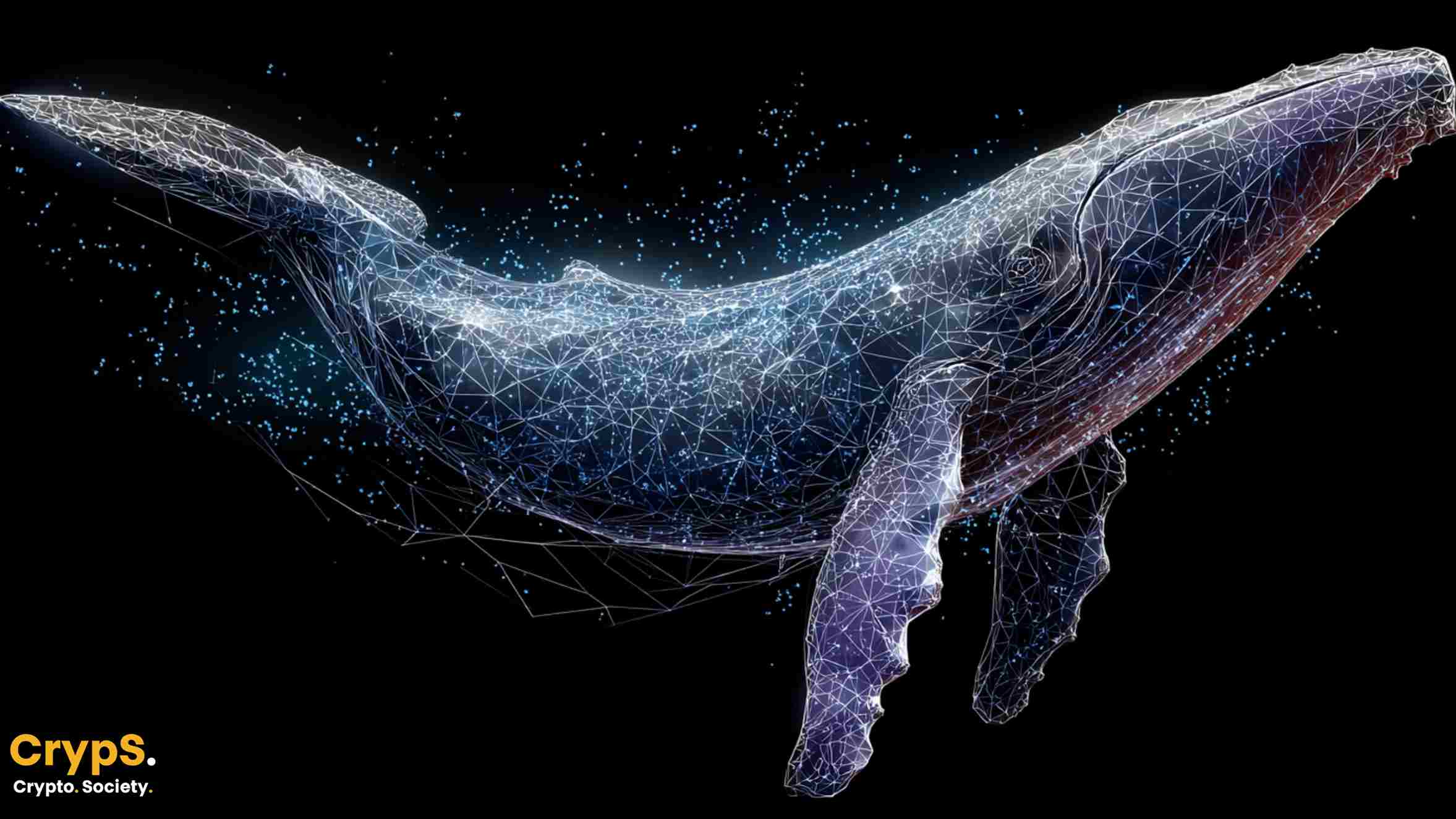 Ethereum whale