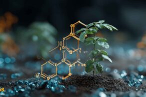 Bio Protocol
