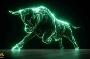 Bitcoin bull