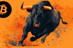 Bitcoin bull