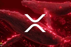 Wieloryby XRP