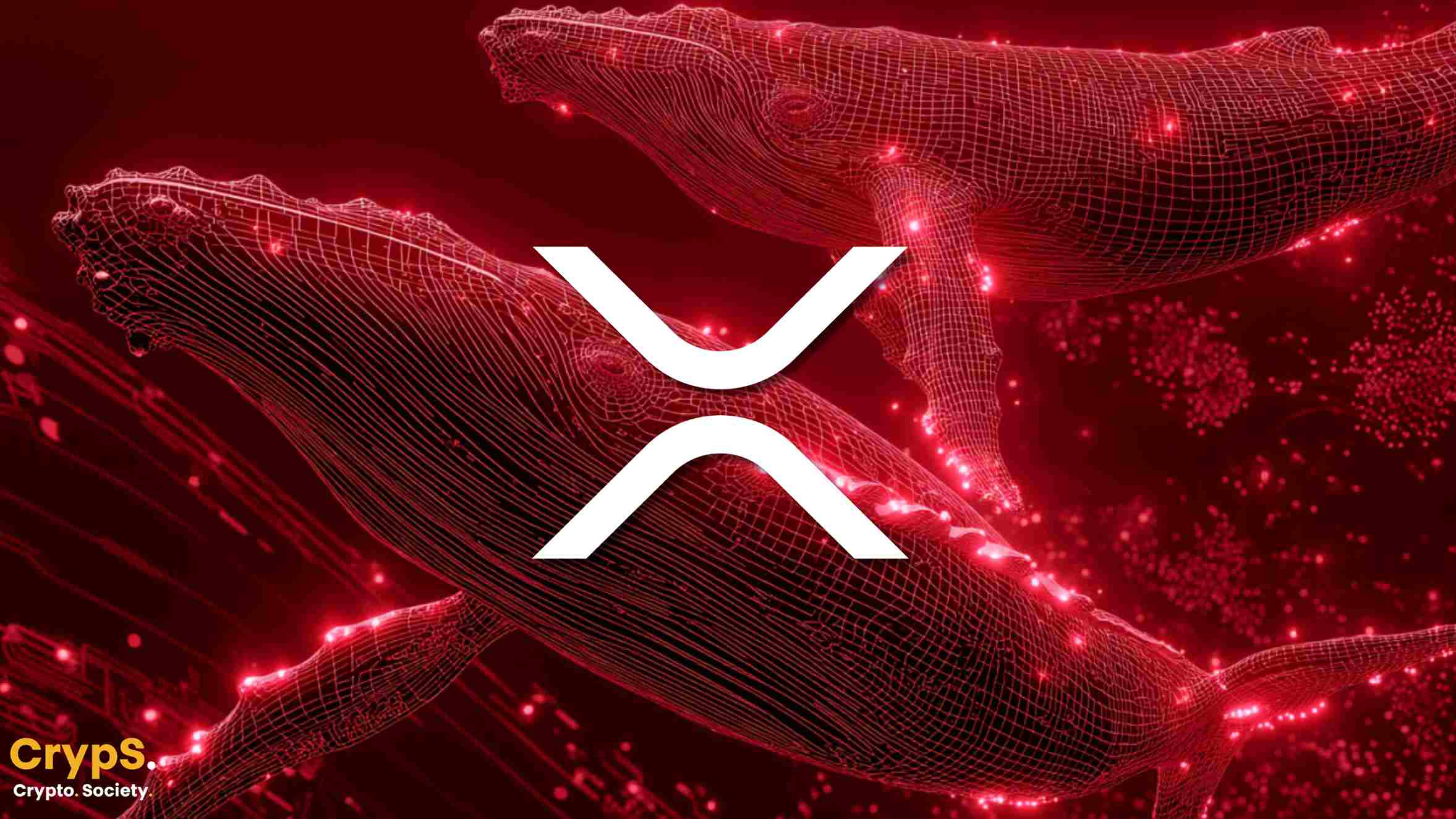 Wieloryby XRP