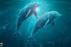Delfiny