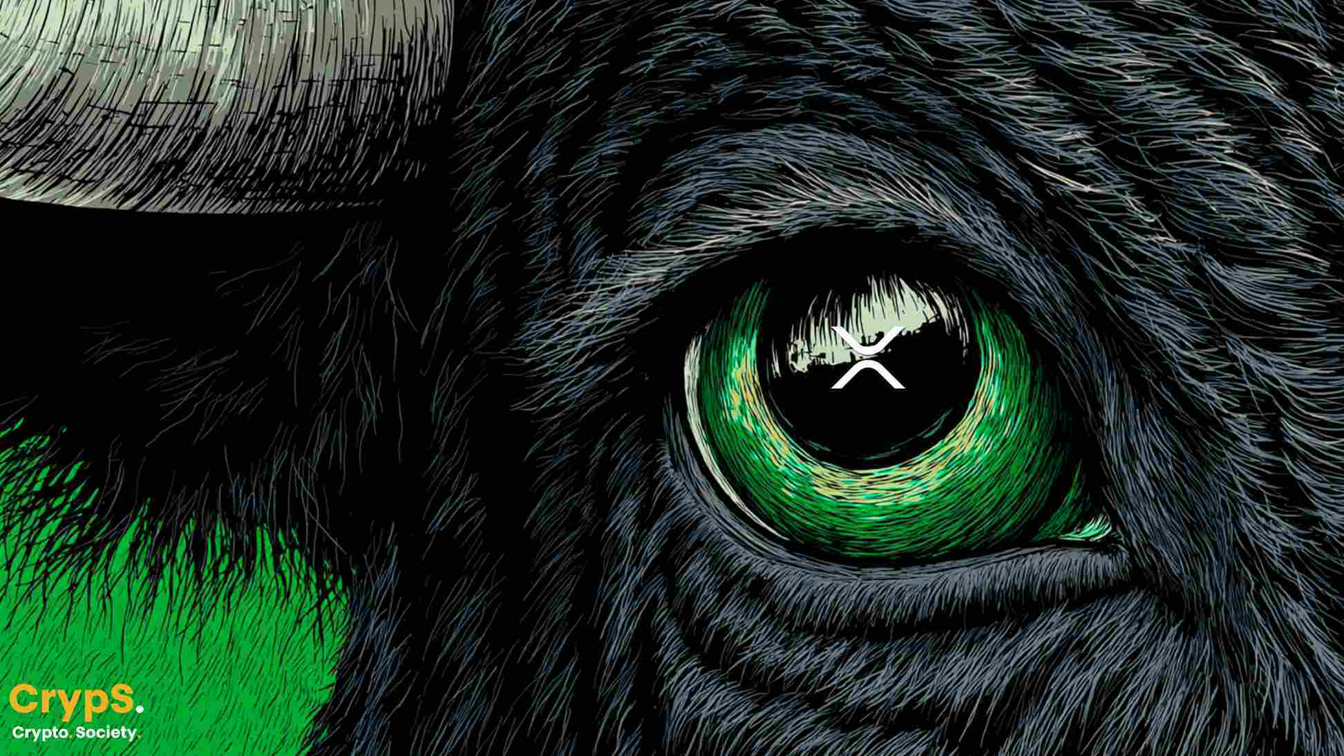 ETF od Grayscale na XRP przebija bitcoina! Otwarte pozycje spadają zaś do najniższego poziomu od roku