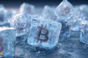 Zamrożenie środków