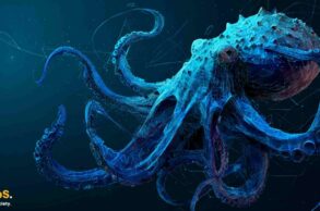 Kraken