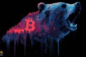 Bitcoin bear (niedźwiedź)