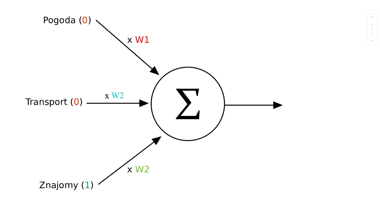 perceptron schemat
