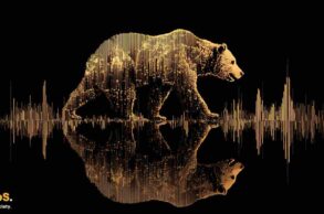 bitcoin bessa