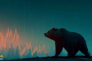 Bitcoin bear