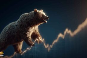 Bitcoin bear