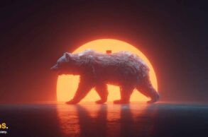 Bitcoin bear