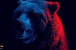 Bitcoin Bear