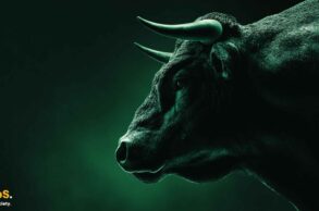 Bitcoin bull